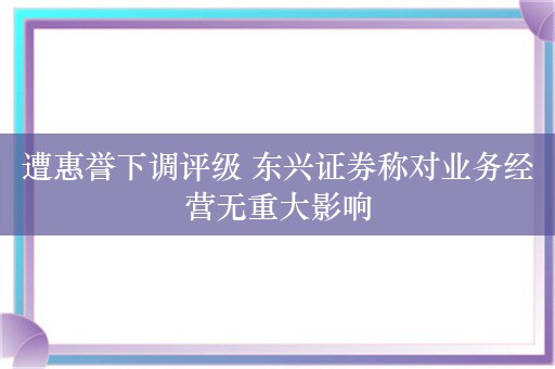 遭惠誉下调评级 东兴证券称对业务经营无重大影响