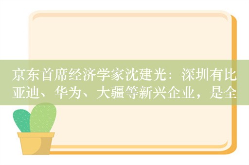 京东首席经济学家沈建光：深圳有比亚迪、华为、大疆等新兴企业，是全球范围内科创枢纽中心