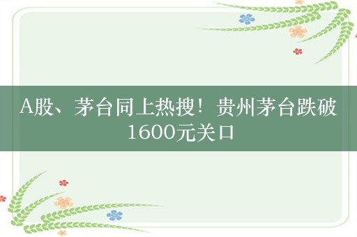 A股、茅台同上热搜！贵州茅台跌破1600元关口