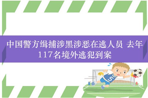 中国警方缉捕涉黑涉恶在逃人员 去年117名境外逃犯到案