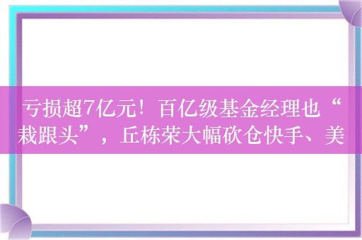 亏损超7亿元！百亿级基金经理也“栽跟头”，丘栋荣大幅砍仓快手、美团