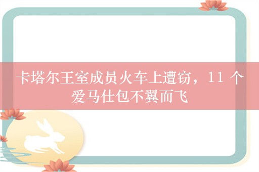 卡塔尔王室成员火车上遭窃，11 个爱马仕包不翼而飞