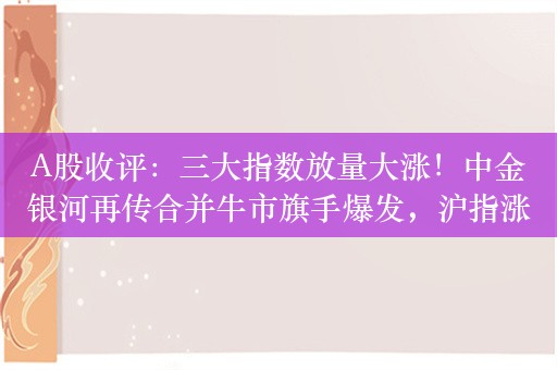 A股收评：三大指数放量大涨！中金银河再传合并牛市旗手爆发，沪指涨2%收复2900点，成交9033亿，较昨日放量3038亿