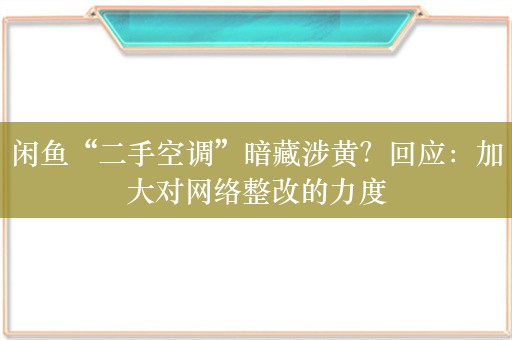 闲鱼“二手空调”暗藏涉黄？回应：加大对网络整改的力度