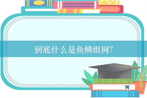 到底什么是鱼鳞组网？