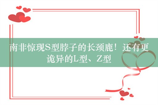 南非惊现S型脖子的长颈鹿！还有更诡异的L型、Z型