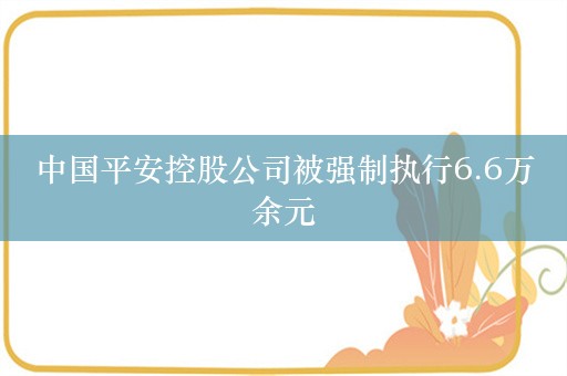 中国平安控股公司被强制执行6.6万余元