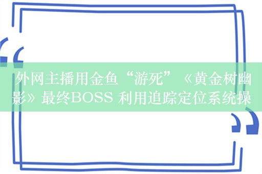  外网主播用金鱼“游死”《黄金树幽影》最终BOSS 利用追踪定位系统操作