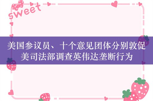 美国参议员、十个意见团体分别敦促美司法部调查英伟达垄断行为