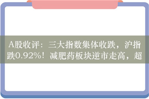 A股收评：三大指数集体收跌，沪指跌0.92%！减肥药板块逆市走高，超4100股下跌，成交7224亿缩量599亿