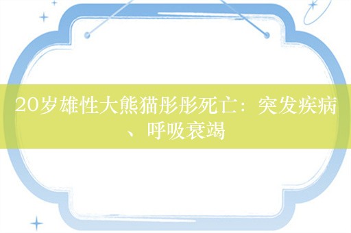 20岁雄性大熊猫彤彤死亡：突发疾病、呼吸衰竭