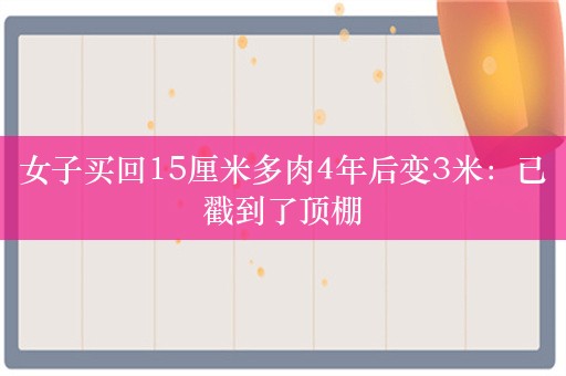 女子买回15厘米多肉4年后变3米：已戳到了顶棚