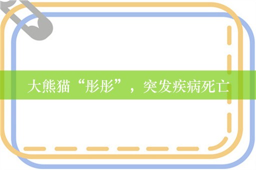 大熊猫“彤彤”，突发疾病死亡