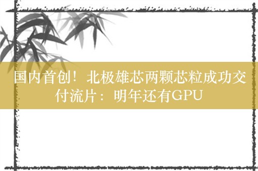 国内首创！北极雄芯两颗芯粒成功交付流片：明年还有GPU