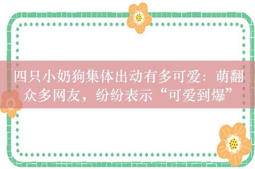 四只小奶狗集体出动有多可爱：萌翻众多网友，纷纷表示“可爱到爆”