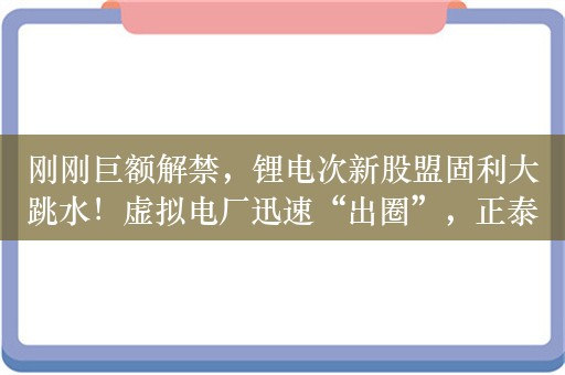 刚刚巨额解禁，锂电次新股盟固利大跳水！虚拟电厂迅速“出圈”，正泰电器等6只概念股市盈率不到15倍