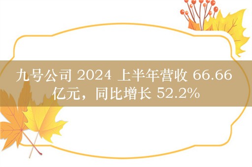 九号公司 2024 上半年营收 66.66 亿元，同比增长 52.2%