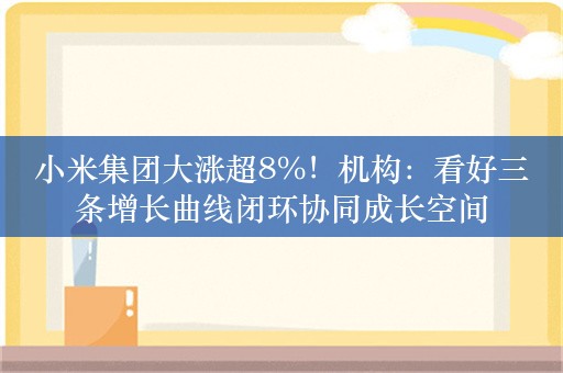 小米集团大涨超8%！机构：看好三条增长曲线闭环协同成长空间