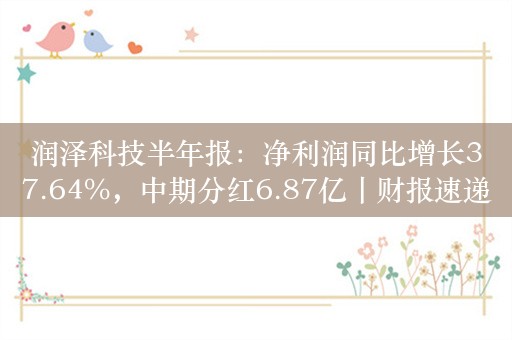 润泽科技半年报：净利润同比增长37.64%，中期分红6.87亿丨财报速递