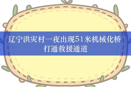 辽宁洪灾村一夜出现51米机械化桥 打通救援通道