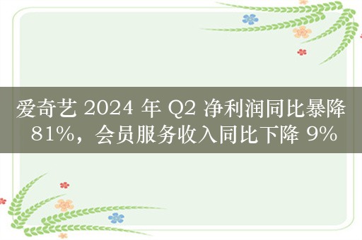 爱奇艺 2024 年 Q2 净利润同比暴降 81%，会员服务收入同比下降 9%