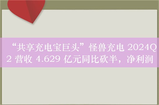 “共享充电宝巨头”怪兽充电 2024Q2 营收 4.629 亿元同比砍半，净利润大降 62%