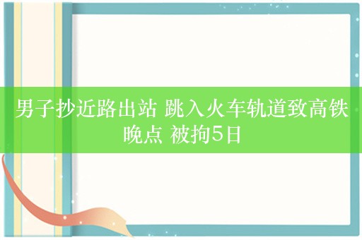 男子抄近路出站 跳入火车轨道致高铁晚点 被拘5日