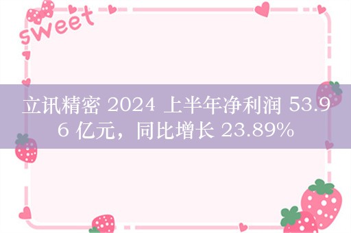 立讯精密 2024 上半年净利润 53.96 亿元，同比增长 23.89%