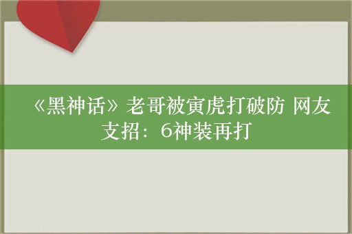  《黑神话》老哥被寅虎打破防 网友支招：6神装再打