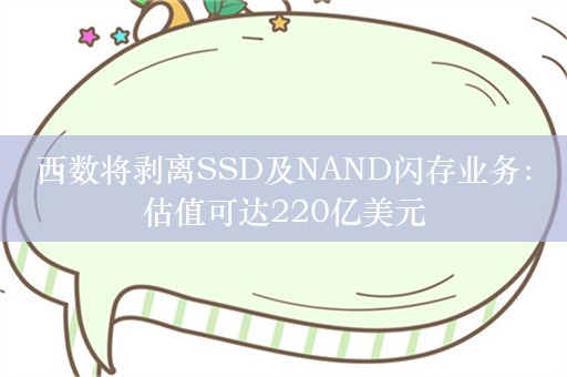 西数将剥离SSD及NAND闪存业务：估值可达220亿美元