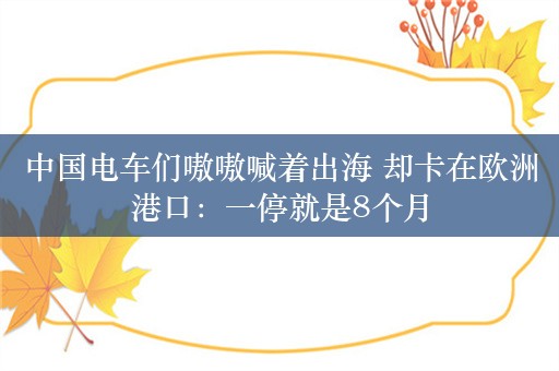 中国电车们嗷嗷喊着出海 却卡在欧洲港口：一停就是8个月