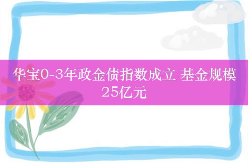 华宝0-3年政金债指数成立 基金规模25亿元