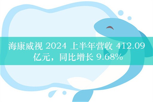 海康威视 2024 上半年营收 412.09 亿元，同比增长 9.68%