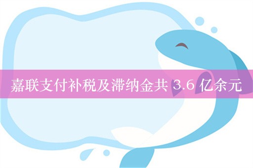 嘉联支付补税及滞纳金共 3.6 亿余元