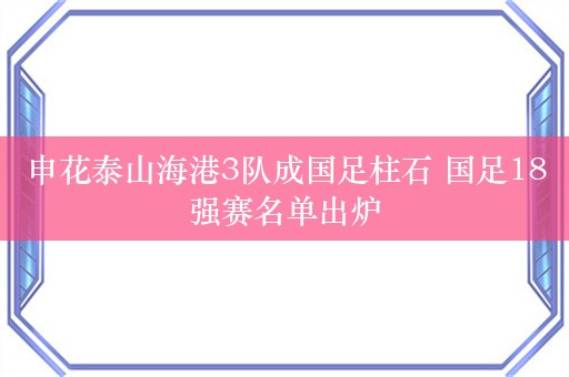 申花泰山海港3队成国足柱石 国足18强赛名单出炉