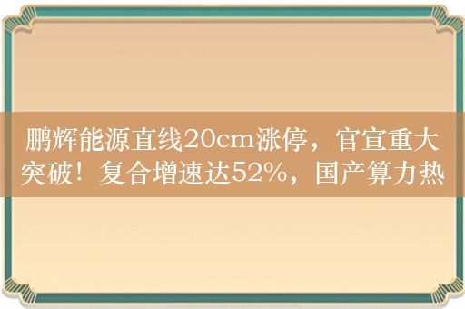 鹏辉能源直线20cm涨停，官宣重大突破！复合增速达52%，国产算力热门行业高景气，高增长低估值股揭秘