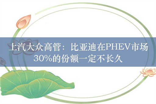 上汽大众高管：比亚迪在PHEV市场30%的份额一定不长久