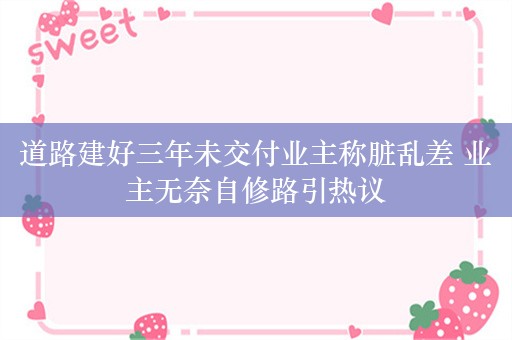 道路建好三年未交付业主称脏乱差 业主无奈自修路引热议