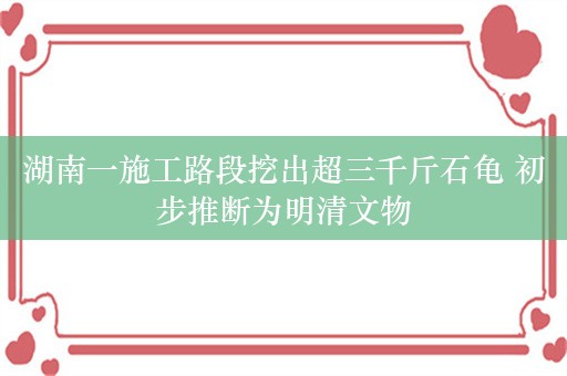 湖南一施工路段挖出超三千斤石龟 初步推断为明清文物