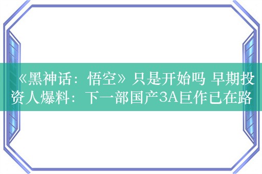 《黑神话：悟空》只是开始吗 早期投资人爆料：下一部国产3A巨作已在路上