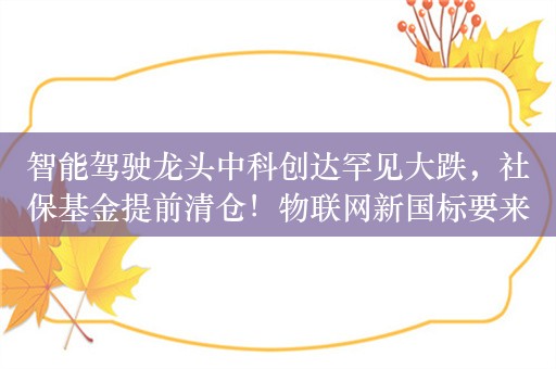 智能驾驶龙头中科创达罕见大跌，社保基金提前清仓！物联网新国标要来，高研发+高增长+社保基金重仓股仅9只