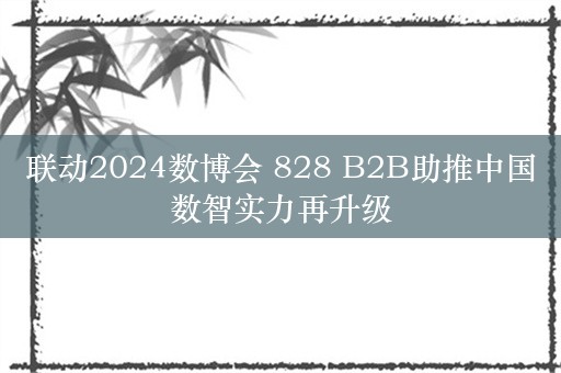 联动2024数博会 828 B2B助推中国数智实力再升级