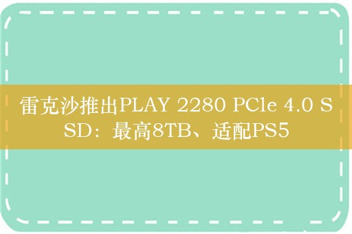 雷克沙推出PLAY 2280 PCle 4.0 SSD：最高8TB、适配PS5