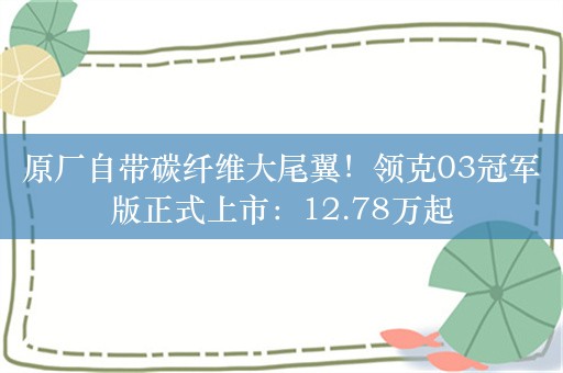 原厂自带碳纤维大尾翼！领克03冠军版正式上市：12.78万起