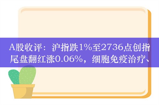 A股收评：沪指跌1%至2736点创指尾盘翻红涨0.06%，细胞免疫治疗、医疗服务走高！3100股下跌，成交5186亿缩量240亿