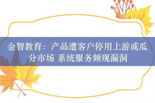 金智教育：产品遭客户停用上游或瓜分市场 系统服务频现漏洞