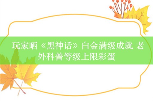  玩家晒《黑神话》白金满级成就 老外科普等级上限彩蛋