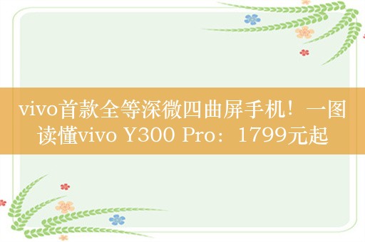 vivo首款全等深微四曲屏手机！一图读懂vivo Y300 Pro：1799元起