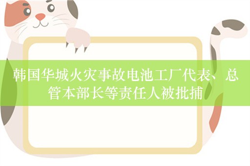 韩国华城火灾事故电池工厂代表、总管本部长等责任人被批捕