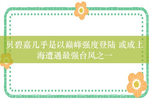 贝碧嘉几乎是以巅峰强度登陆 或成上海遭遇最强台风之一